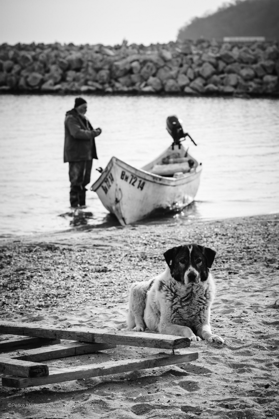 fotograf petko momchilov ribari karantina 0034
